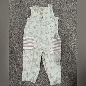 One piece dolphin tank